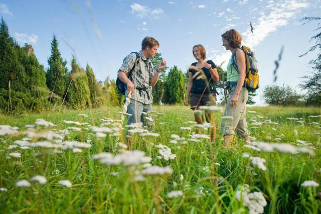 Nengshof Ferienwohnung Wildrose Wissmannsdorf Luaran gambar