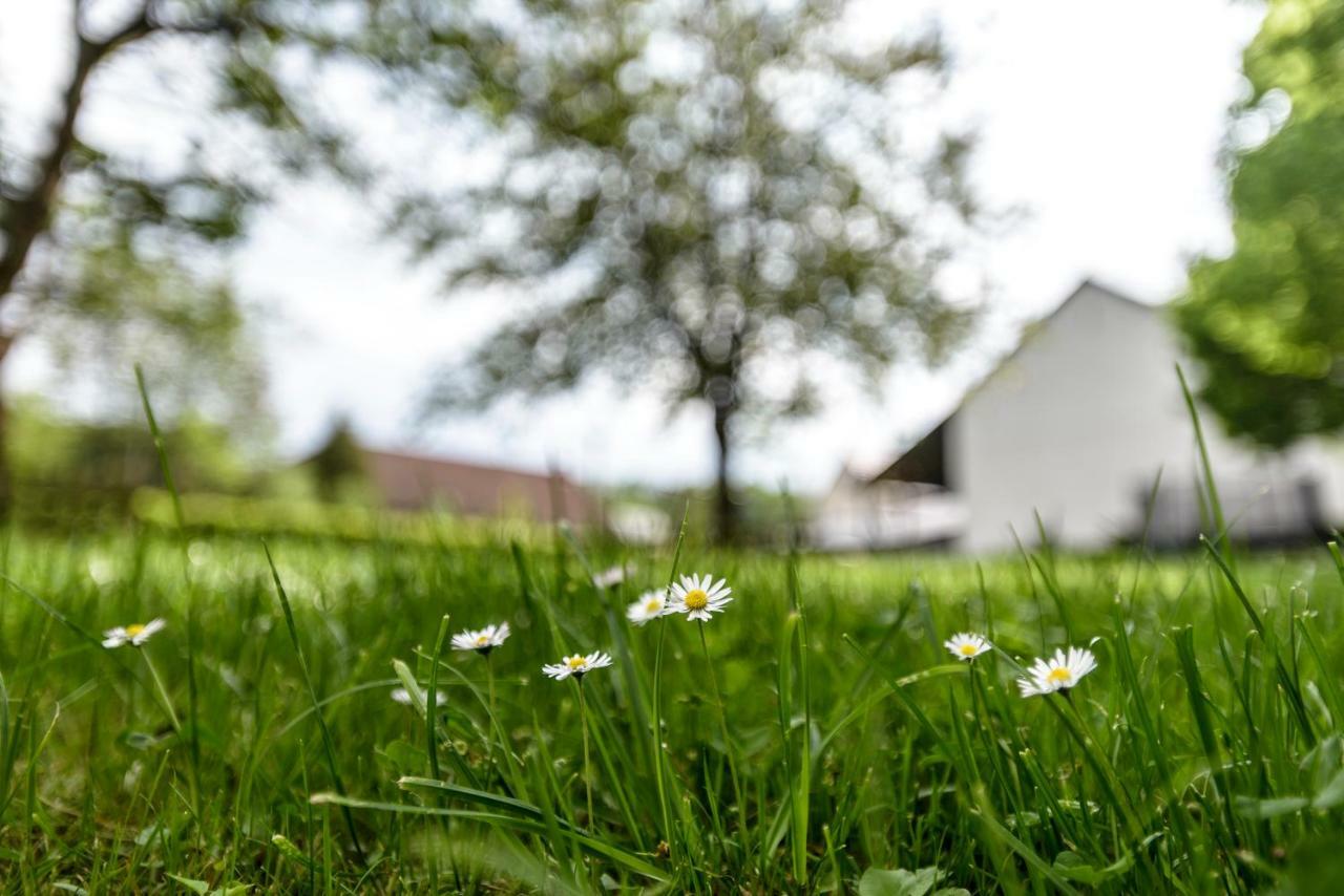 Nengshof Ferienwohnung Wildrose Wissmannsdorf Luaran gambar